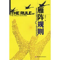 雁阵规则——高绩效团队赢得未来的七个最佳战略选择