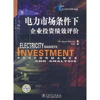 电力经济与管理译丛——电力市场条件下企业投资绩效评价
