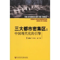 三大都市密集区:中国现代化的引擎