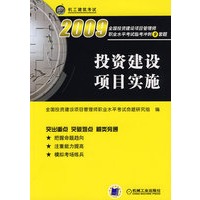 投资建设项目实施 2009