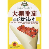 大棚番茄高效栽培技术—跟王乐义学种大棚菜