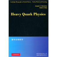 重夸克物理学