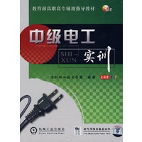 中级电工实训(2VCD)