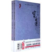 西续红楼梦宝玉传
