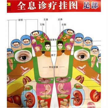 全息诊疗挂图足部高血脂保健图解/常见病保健图解