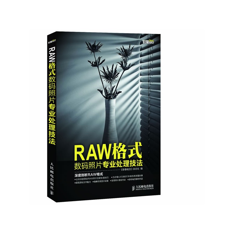 《RAW格式数码照片专业处理技法(《影像视觉