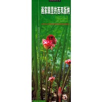 画家眼里的西双版纳——摄影资料丛书