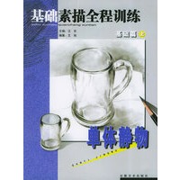 基础素描全程训练基础篇（上）：单体静物
