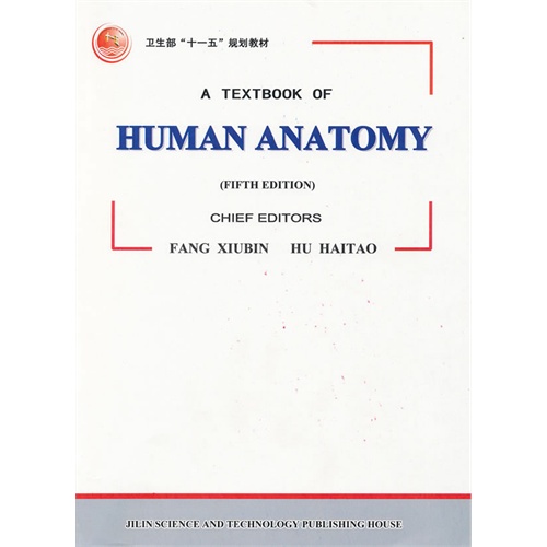 anatomy (Ӣİ)