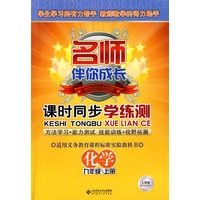 名师伴你成长系列丛书 课时同步学练测 化学(九年级 上册)配人教版