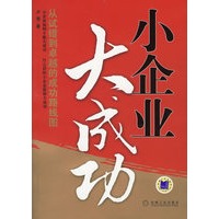 小企业大成功：从试错到卓越的成功路线图