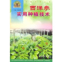 西洋参实用种植技术