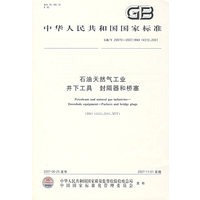 石油天然气井下工具 封隔器和桥塞