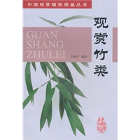 观赏竹类