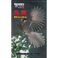 探索书系——鸟类