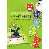 围棋智多星--从30级到20级的跃进