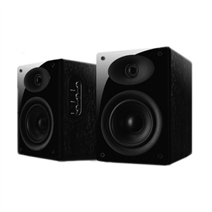 【当当自营】HiVi 惠威 音箱 D1010MK II 08版 （黑色）