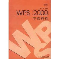 WPS2000中级教程
