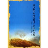 城市防洪及雨洪利用工程技术研究