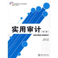 实用审计（第二版）