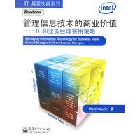 管理信息技术的商业价值:IT和业务经理实用策略