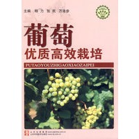 葡萄优质高效栽培—社会主义新农村建设文库