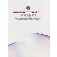 上海合作组织元首峰会