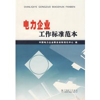 电力企业工作标准范本