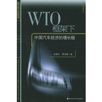 WTO框架下中国汽车经济的增长极