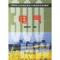 电气（300 MW火力发电机组运行与检修技术培训教材）