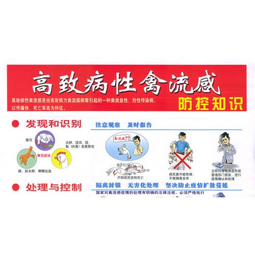 【高致病性禽流感防控知识挂图图片】高清图_