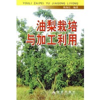 油梨栽培与加工利用