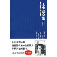 王小波全集6-黄金时代(终结版)