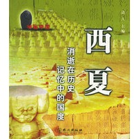神秘中国——西夏