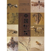 中国化石