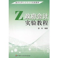 政府会计实验教程