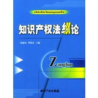 知识产权法纵论