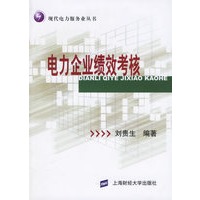 电力企业绩效考核——现代电力服务业丛书