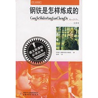 钢铁是怎样炼成的——语文新课标必读丛书