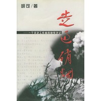 走过硝烟：一个文艺工作者的随军手记