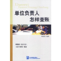 单位负责人怎样查账