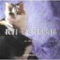 我们一无所知的猫