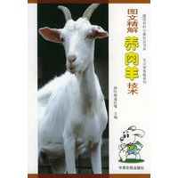 图文精解养肉羊技术