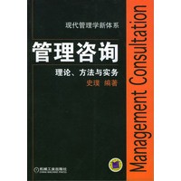 管理咨询:理论.方法与实务
