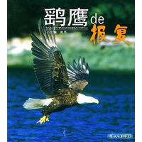 鹞鹰de报复——人与自然丛书