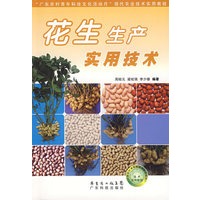 花生生产实用技术