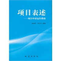 项目表述
