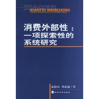 消费外部性：一项探索性的系统研究