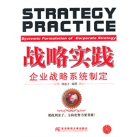 战略实践：企业战略系统制定