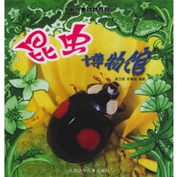 昆虫博物馆（注音版）——小博士动物百科